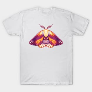 Pink and orange moth T-Shirt